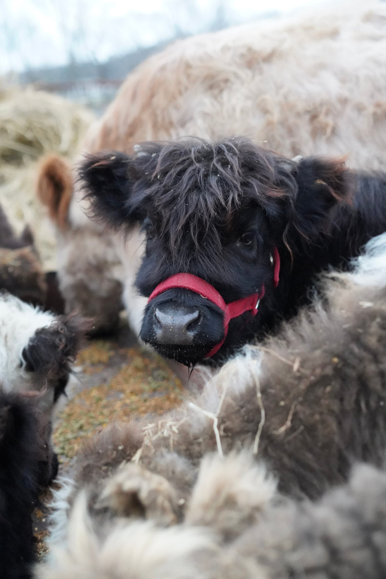 22-DSC00719 22-DSC00719