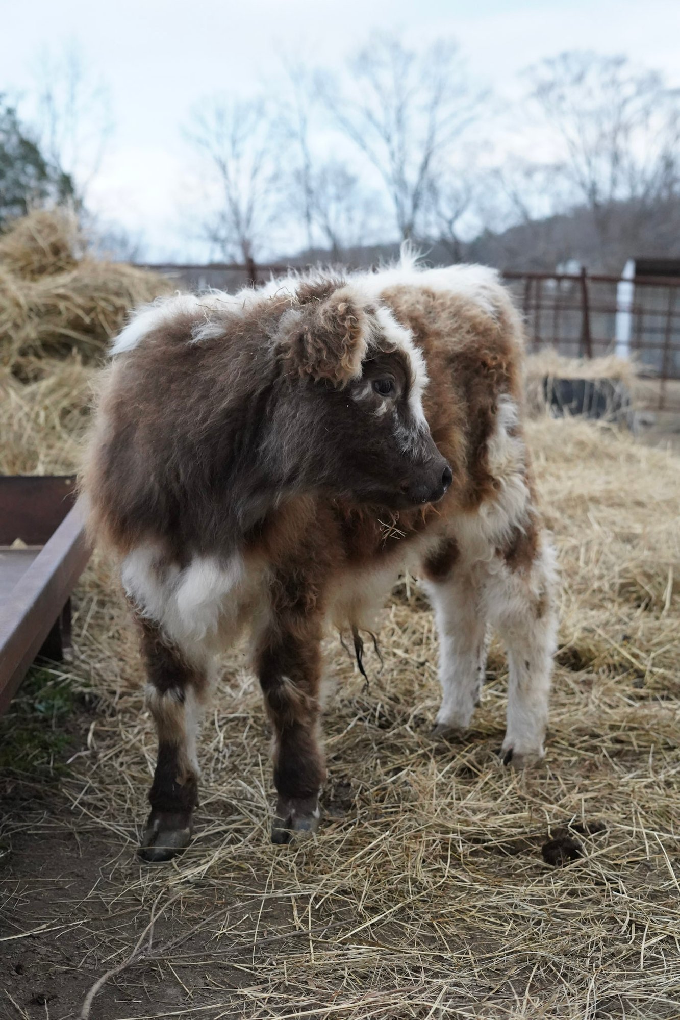 26-DSC00696 26-DSC00696