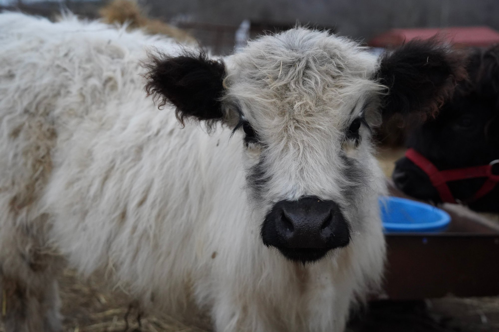 28-DSC00691 28-DSC00691