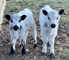 Gabby and Greta