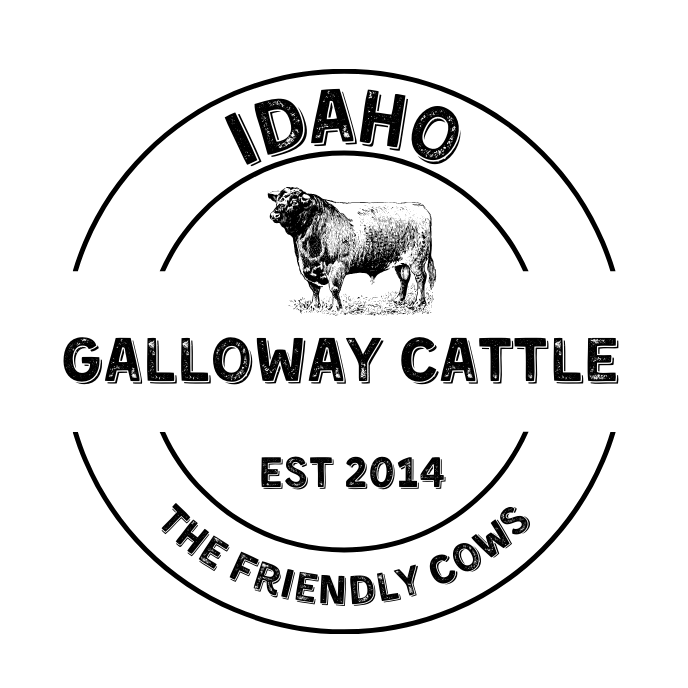 a61b04e1-9db1-458f-896c-7d85141a9dc0